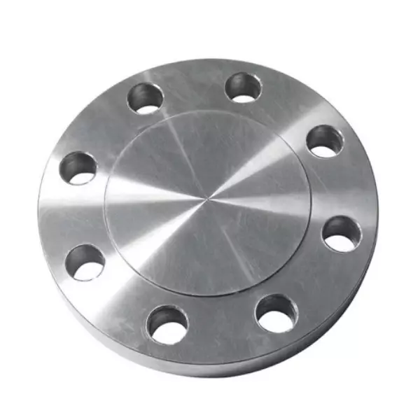 Flange de acero inoxidable